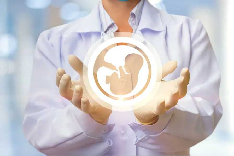 备孕怎么可以生出优质宝宝
